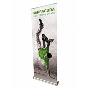 Barracuda Roller Banner